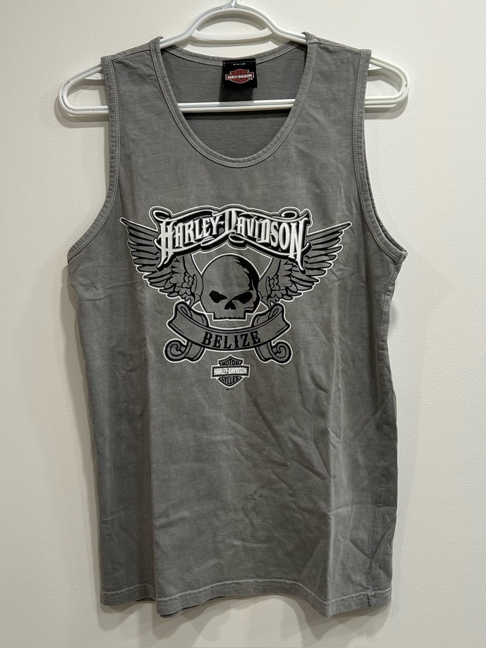 Harley-Davidson Menâs Gray Skull Wing Tank Top - Belize